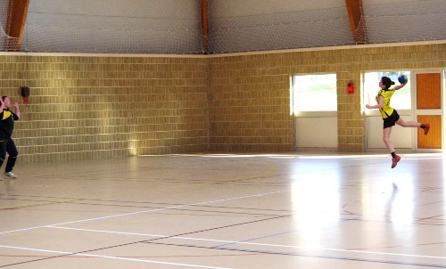 Match sniors fminines face  Torigny
